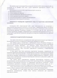 Аудиторское заключение