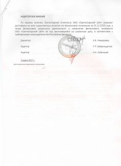 Аудиторское заключение